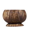 Large Scented Beeswax Coconut Candle - Pikake