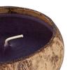Large Scented Beeswax Coconut Candle - Pikake