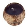 Large Scented Beeswax Coconut Candle - Pikake