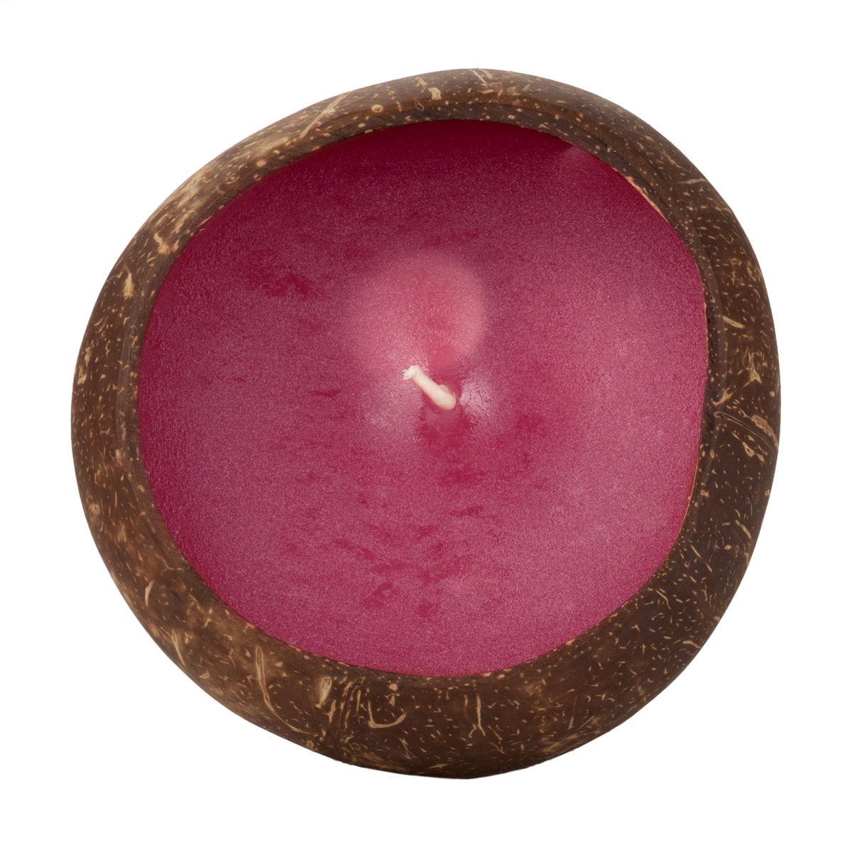 Large Scented Beeswax Coconut Candle Plumeria