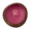 Large Scented Beeswax Coconut Candle - Plumeria