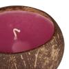 Large Scented Beeswax Coconut Candle - Plumeria