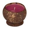 Large Scented Beeswax Coconut Candle - Plumeria