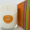 Ergo Soy Candle Spectrum Collection- 7Oz Candle In Clear Glass Tangelo