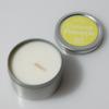 Ergo Soy Candle 2Oz Travel Tins To Go- Coconut Pineapple