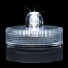White Submersible LED Light
