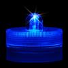 Blue Submersible LED Light