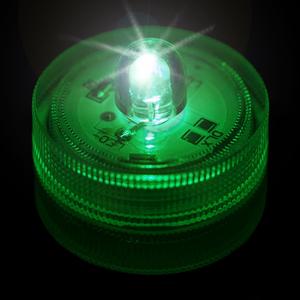 Green Submersible LED Light