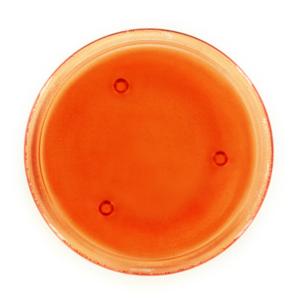 8Inch Orange Pillar Base Candle Tray Round Peg Legs Textured Glass