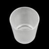 Frosted Glass Cup