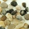 Medium River Rock - Natural Mixed Colors - Decorative Stone Pebbles