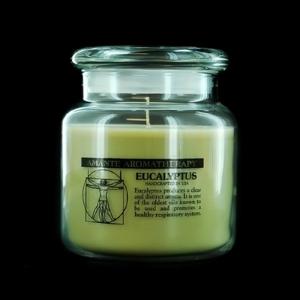 Aromatherapy Handcrafted Jar - Eucalyptus Scented Candle