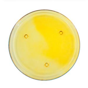 8 Inch Yellow Round Base Candle Tray With Peg Legs Textured Glass