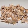 4 Cups Seashells Decorations