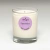 Ergo Soy Candle Spectrum Collection- 7Oz In Clear Glass- Lavender